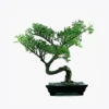 product-image-2_optimized